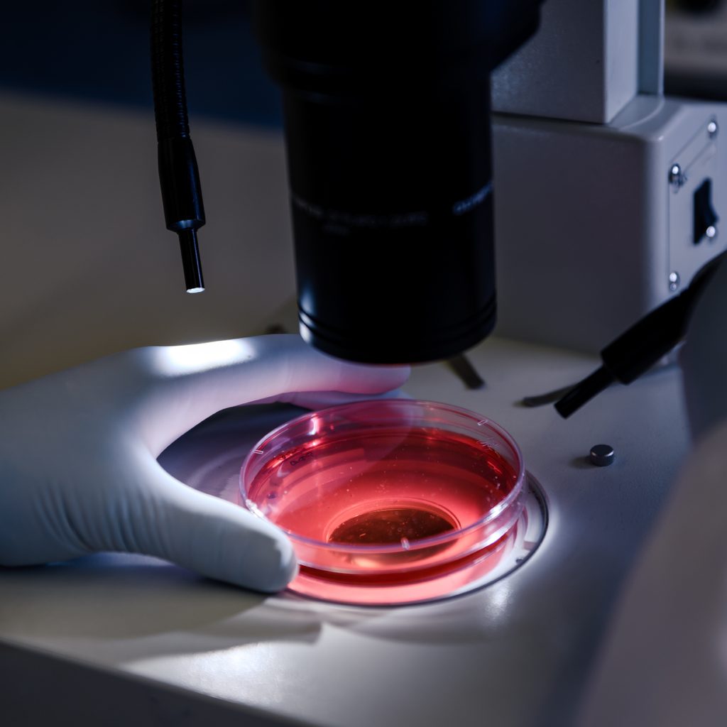 Histopathology